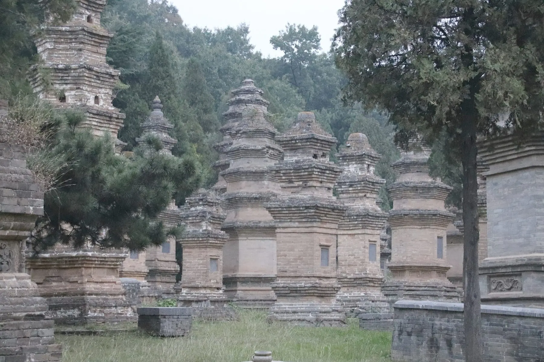 The Pagoda Forest at Shaolin Temple — rows of stone stupas raised over buried masters